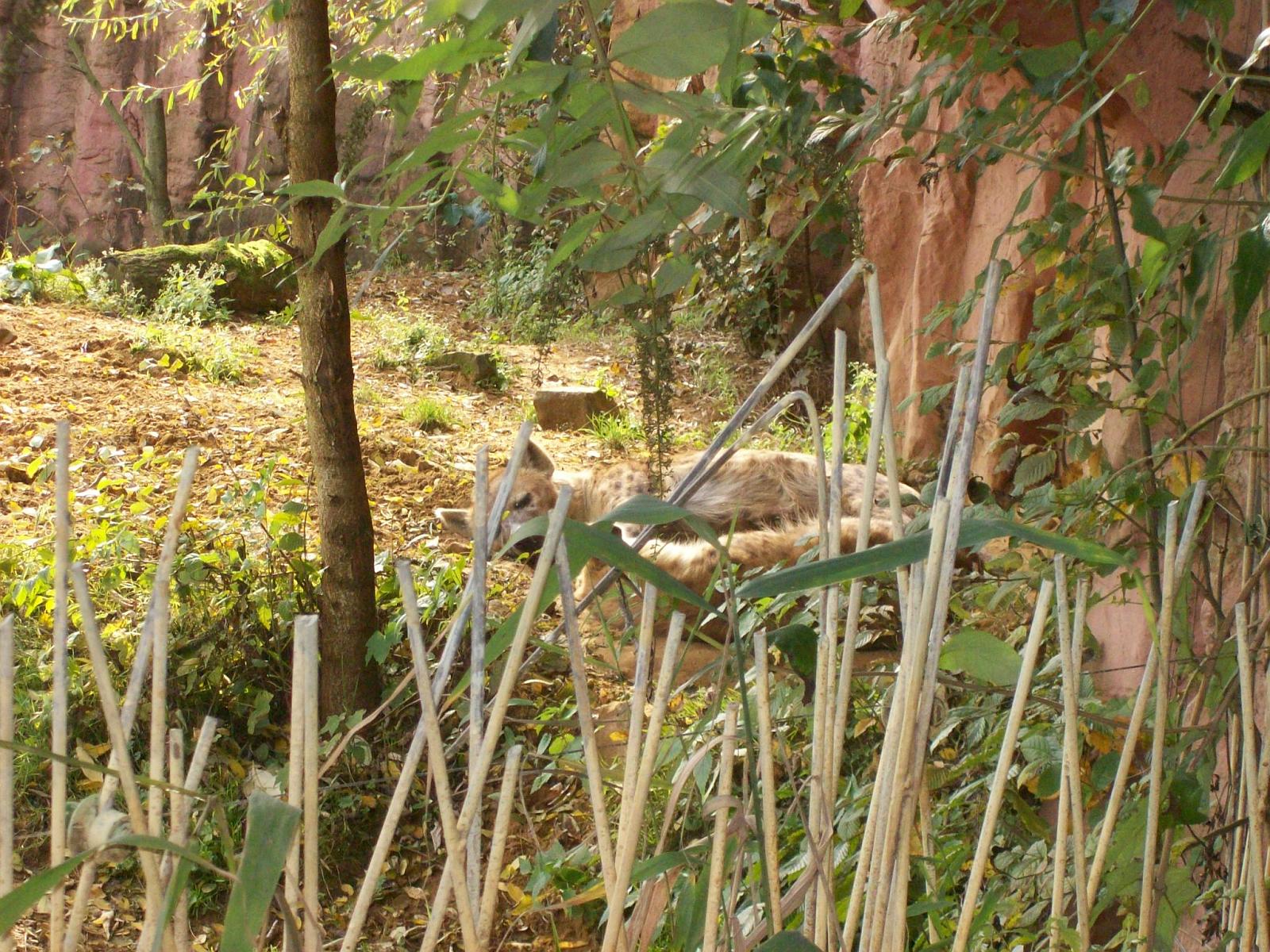 Zoom 18.10.2008-063.jpg